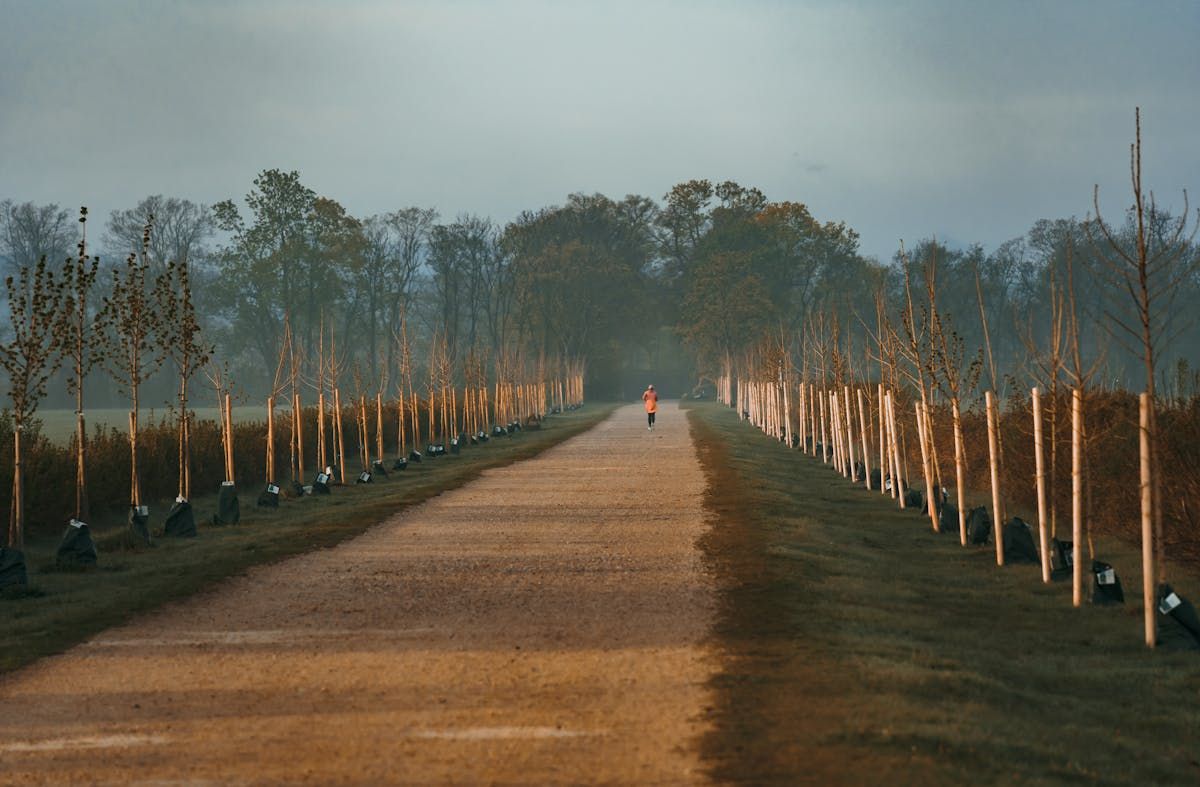 Why London's parkrun Culture Is Quietly Solving the Loneliness Crisis