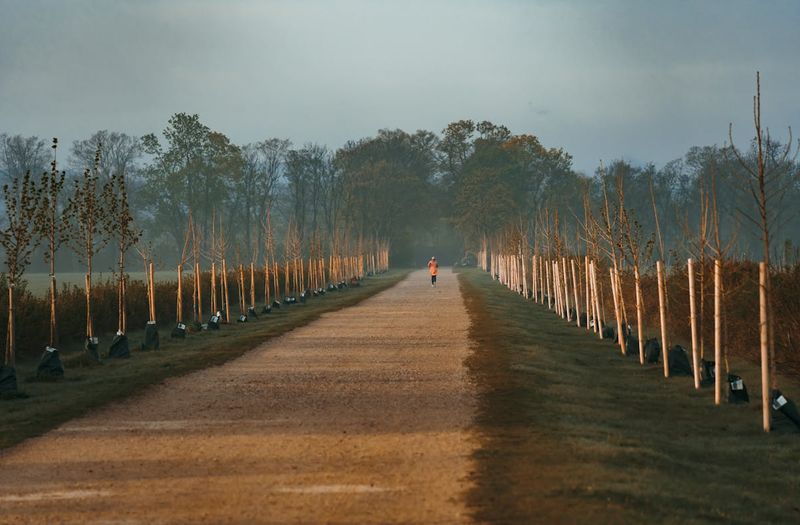 Why London's parkrun Culture Is Quietly Solving the Loneliness Crisis