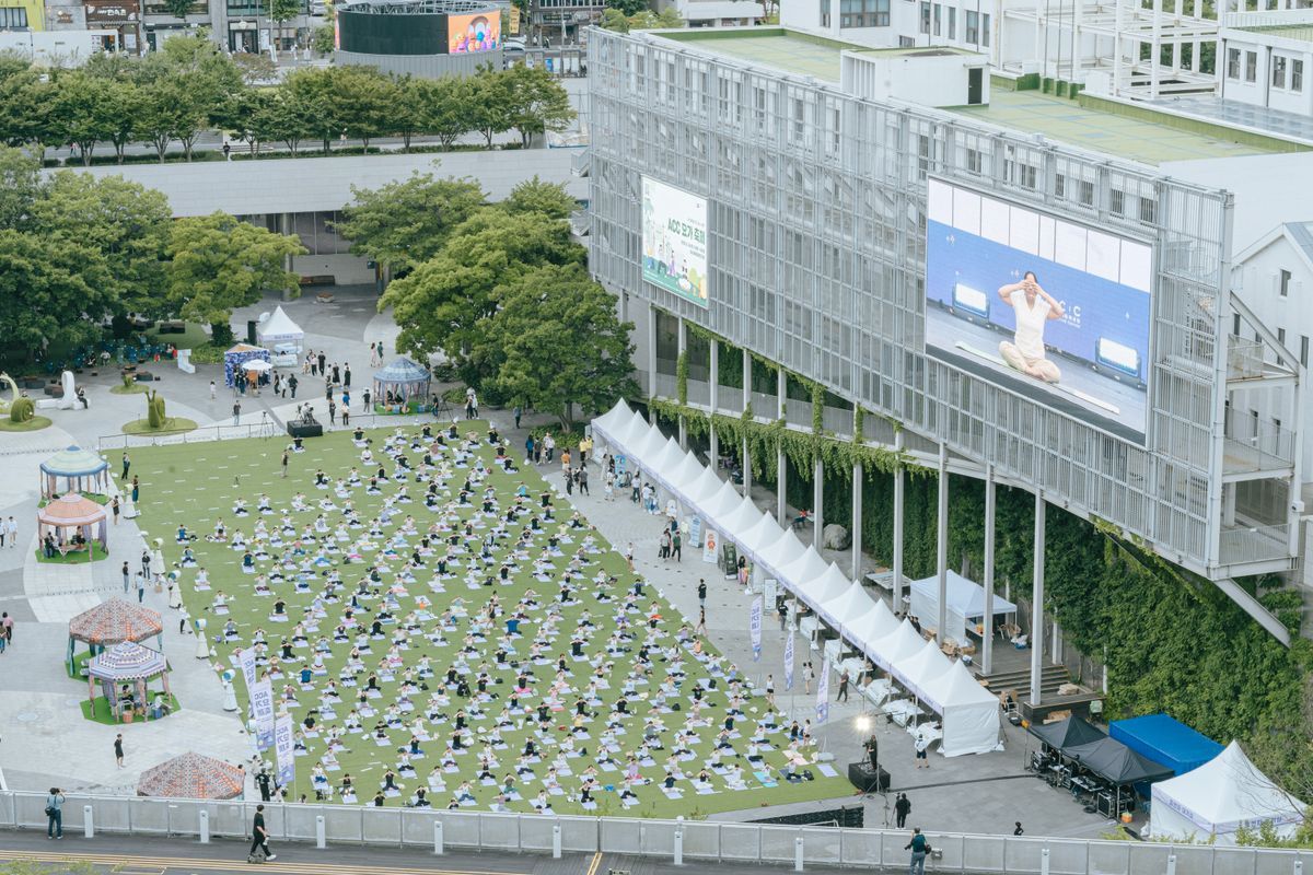 Festival Wellness Guide: How to Look After Yourself on Site