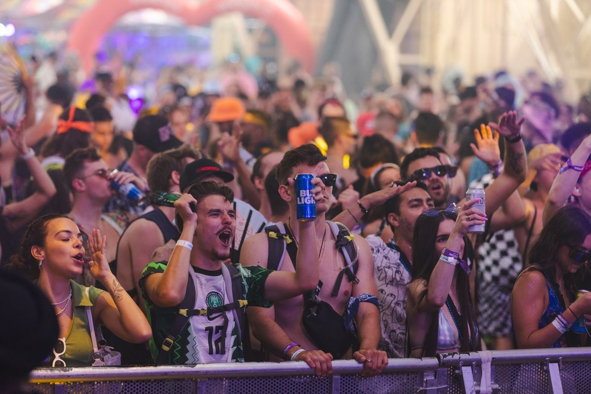 An energetic crowd enjoying a live performance at a music festival