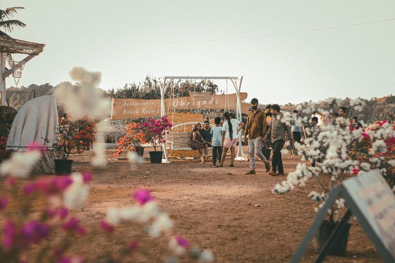 Sustainable Festivals UK 2026: The Greenest Events This Summer