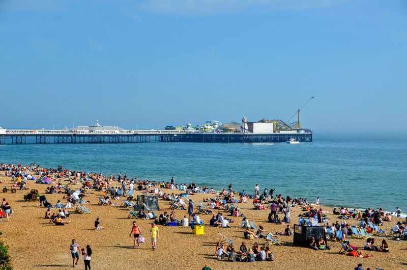 Brighton Festival 2026: Your Complete Guide to the UK's Biggest Arts Fest