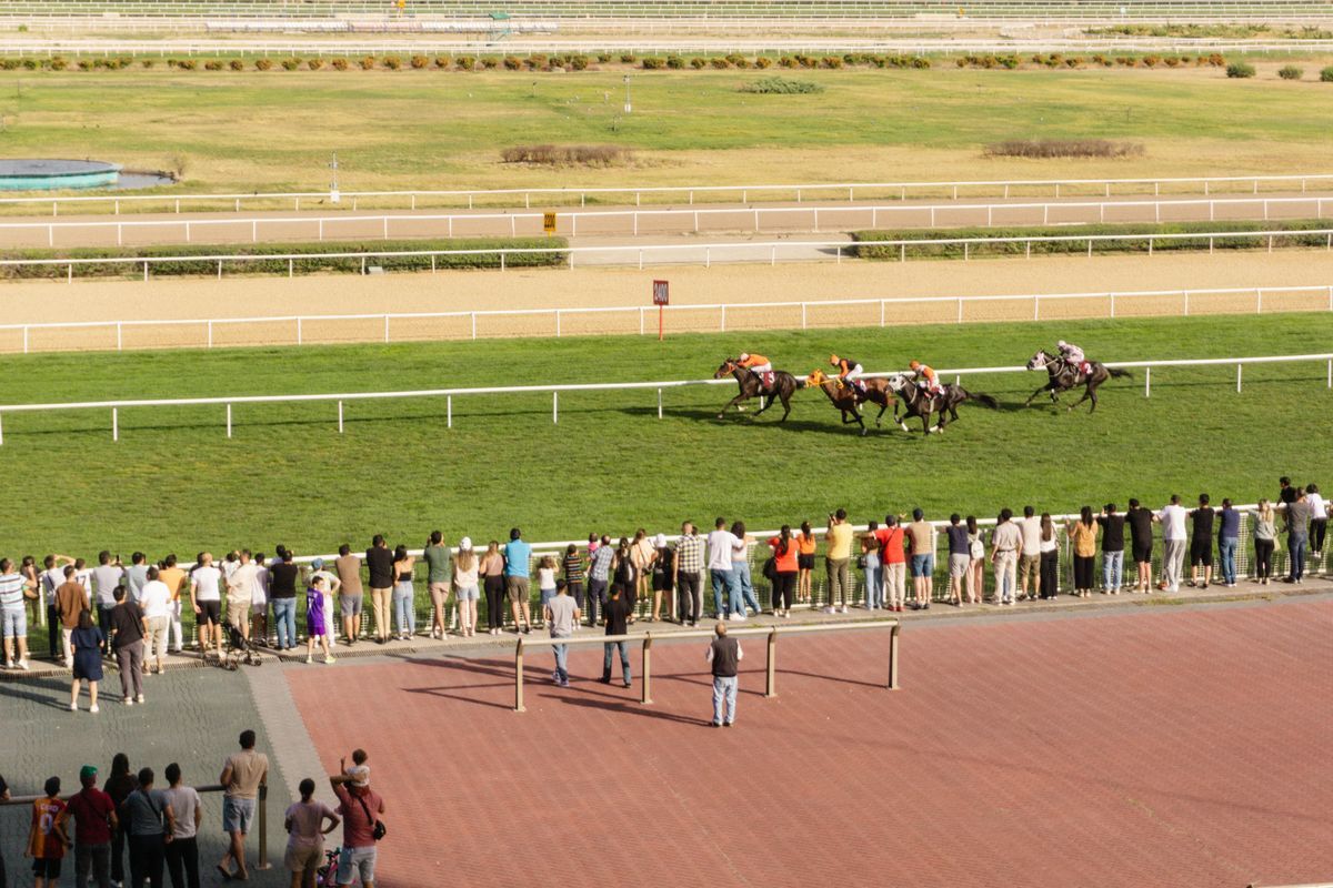 A crowd watching horses race past on a sunny day