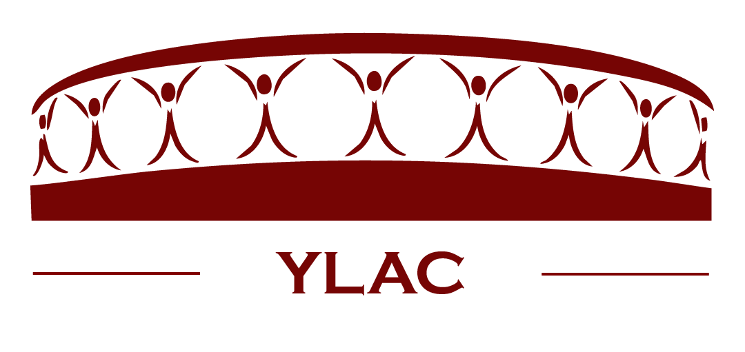 Young Leaders For Active Citizenship (YLAC)