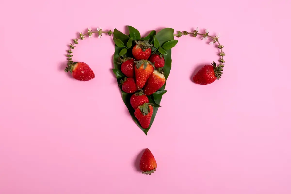 Portada de Calendario menstrual