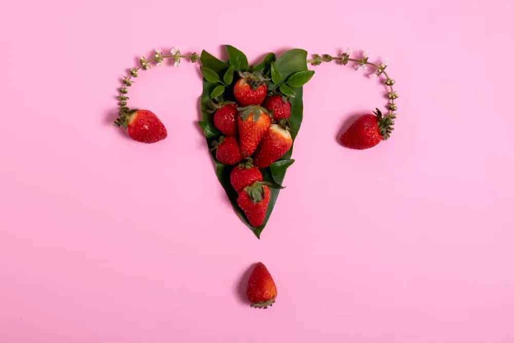 Portada de Calendario menstrual