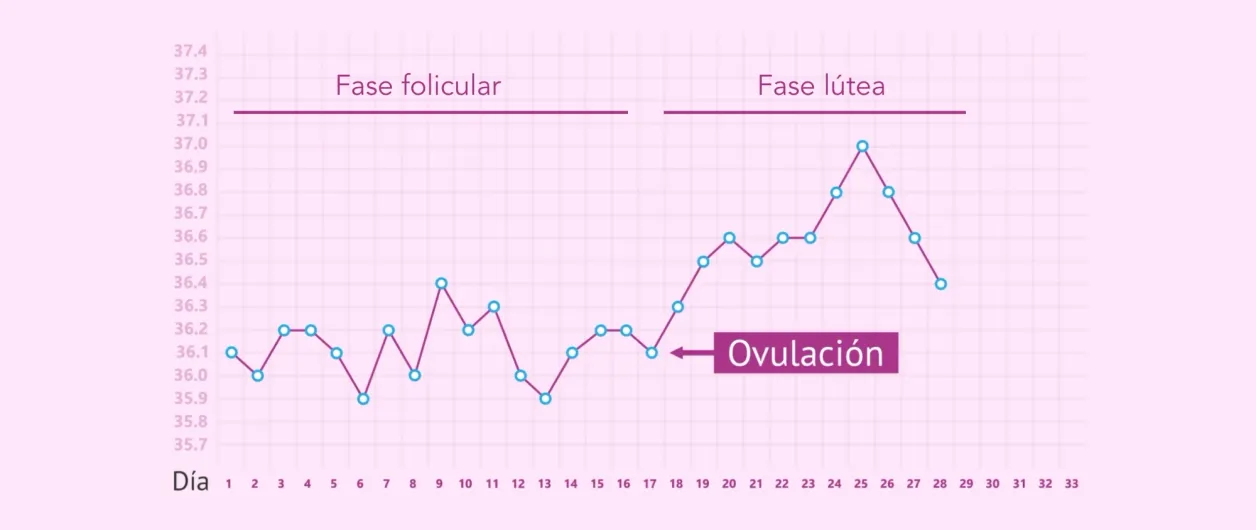 Gráfica de temperatura basal por día del ciclo: fase folicular, ovulación y lútea