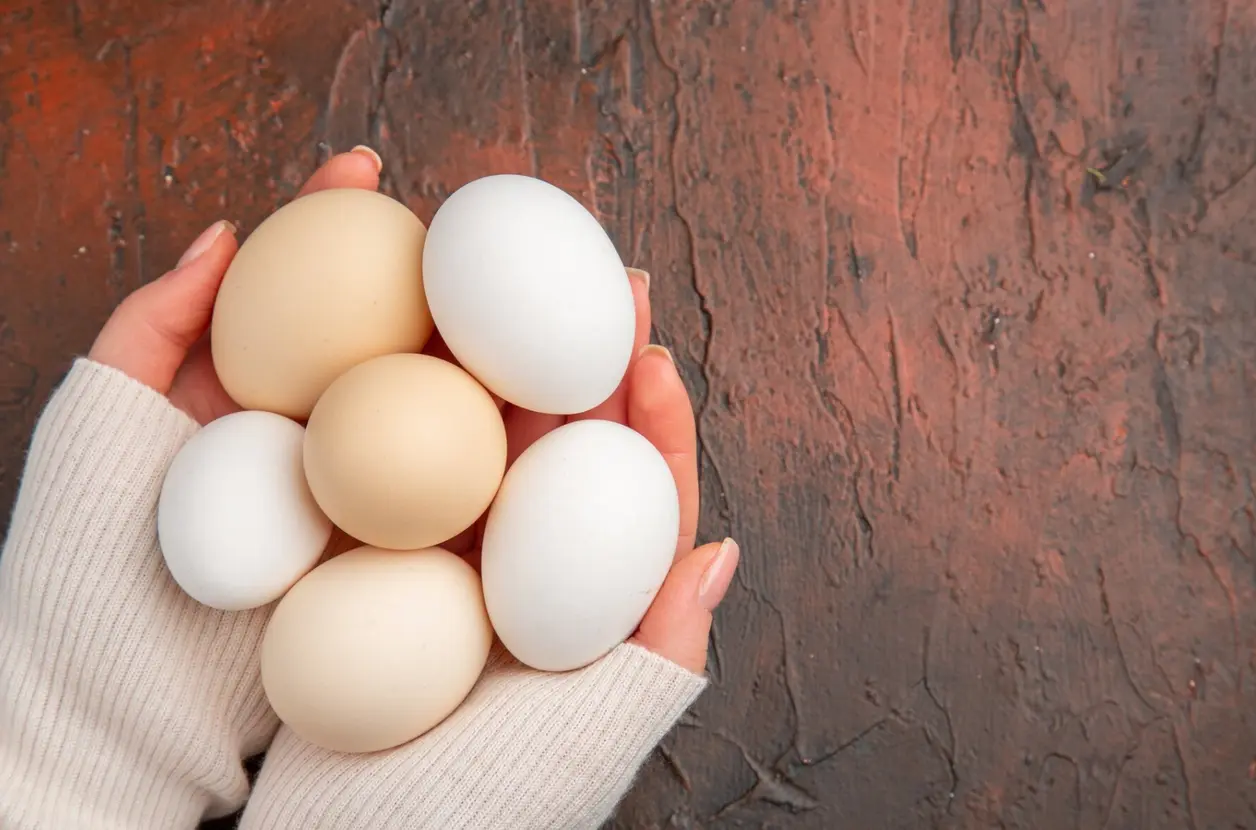 Manos sostienen cinco huevos blancos y beige