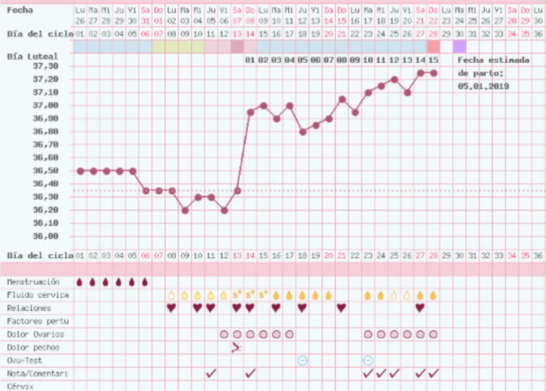 Gráfica de temperatura que se mantiene alta con fecha estimada de parto anotada