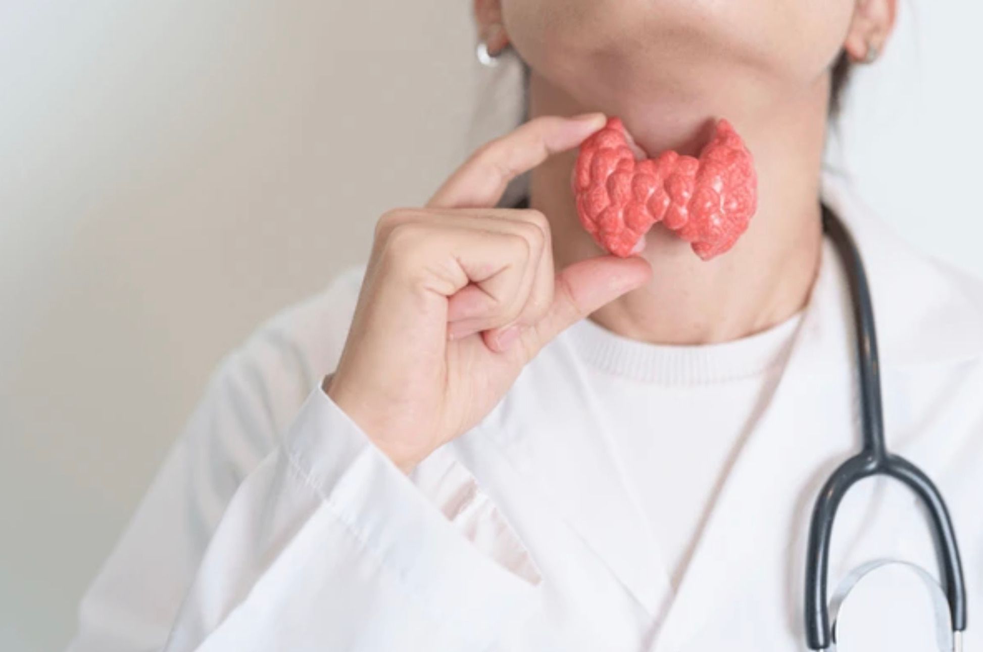Médica con estetoscopio sostiene un modelo de tiroides frente al cuello