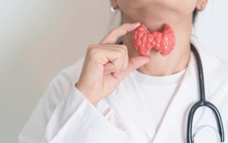 Médica con estetoscopio sostiene un modelo de tiroides frente al cuello
