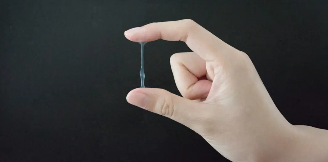 Moco cervical elástico y transparente estirado entre el índice y el pulgar