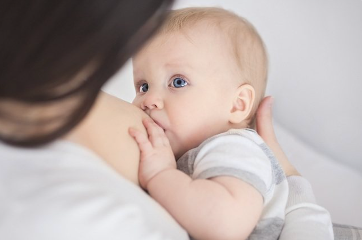 Bebé mama del pecho de su madre