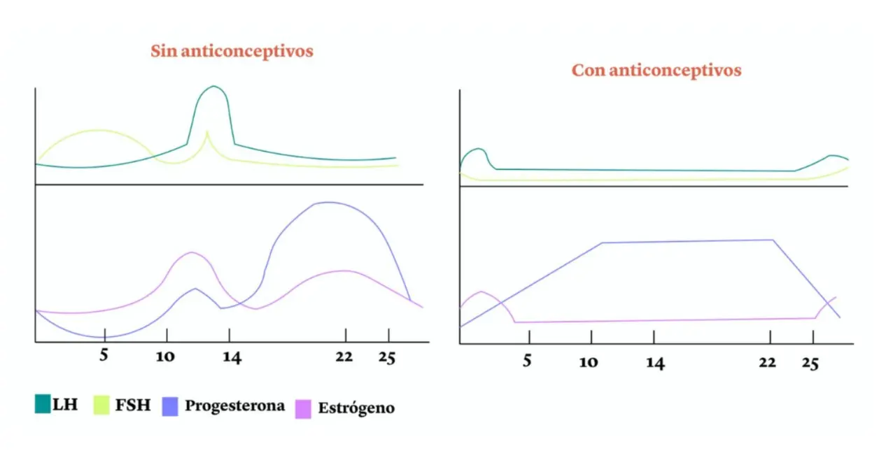 Gráficas de LH, FSH, progesterona y estrógeno sin y con anticonceptivos