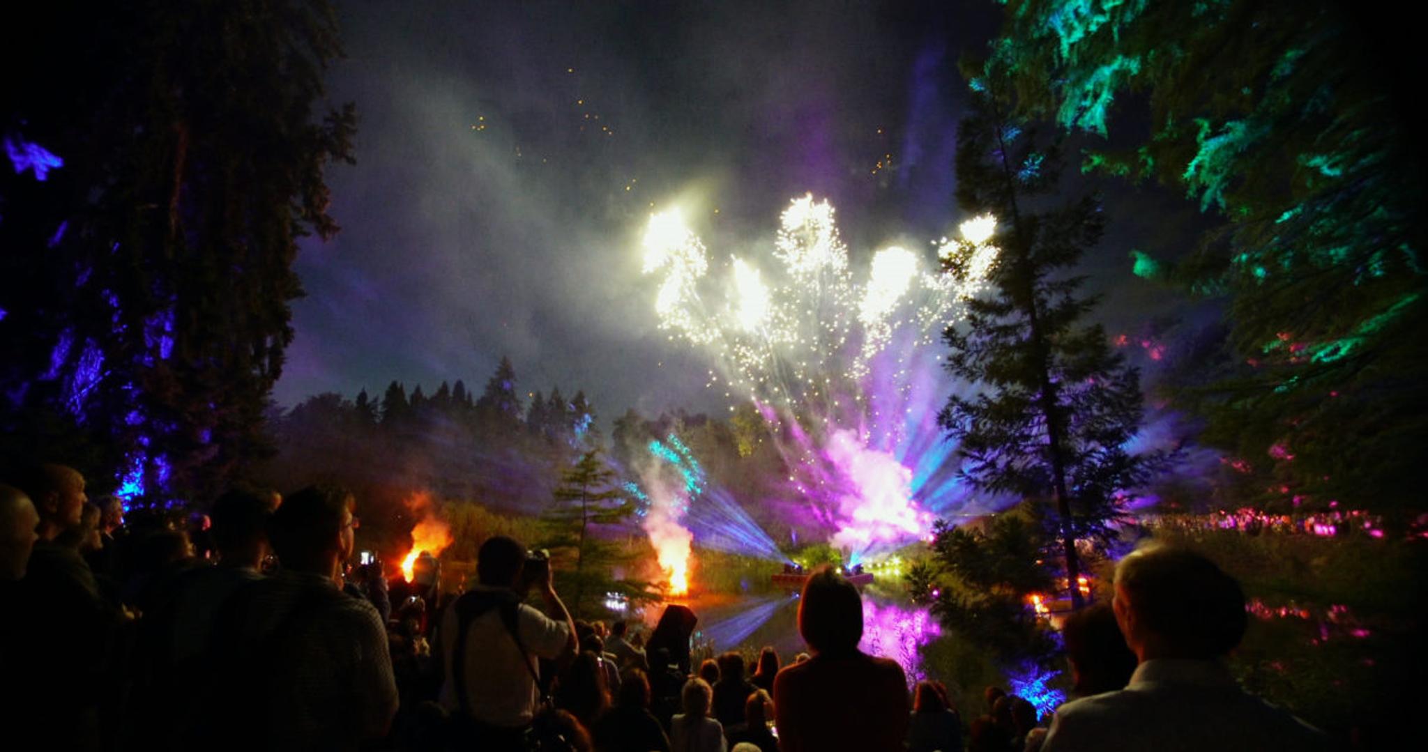 A crowd watches an explosion of light and fireworks in a forest at night.