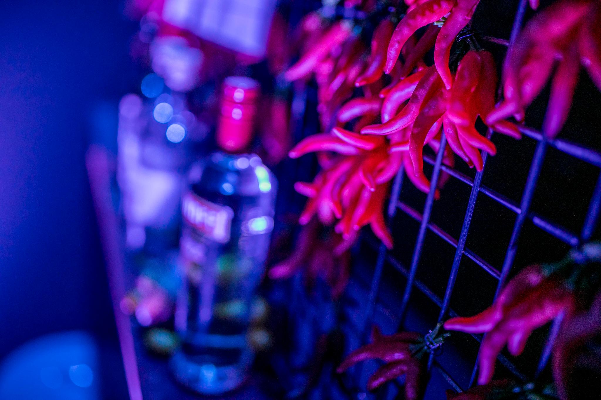 Detail shot of chilis at the bar in a club environment.