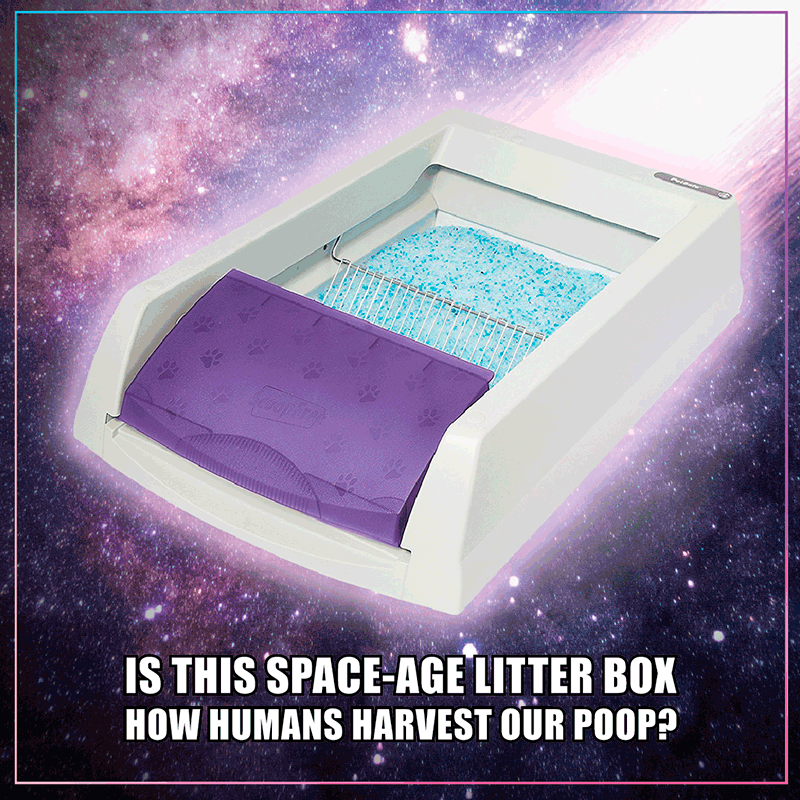 A litterbox flying through space with words under it reading, "is this space-age litter box how humans harvest our poop?"