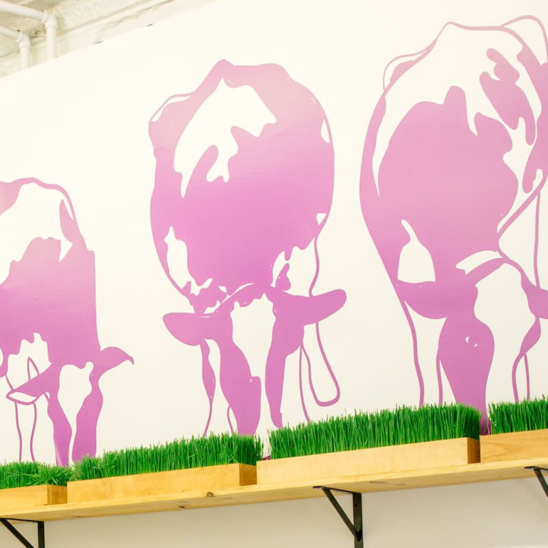 Wall graphics of three purple cows eating fake grass