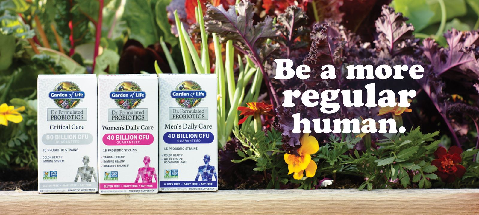 garden of life probiotics in front of foliage with text next to it that reads, "Be a more regular human"