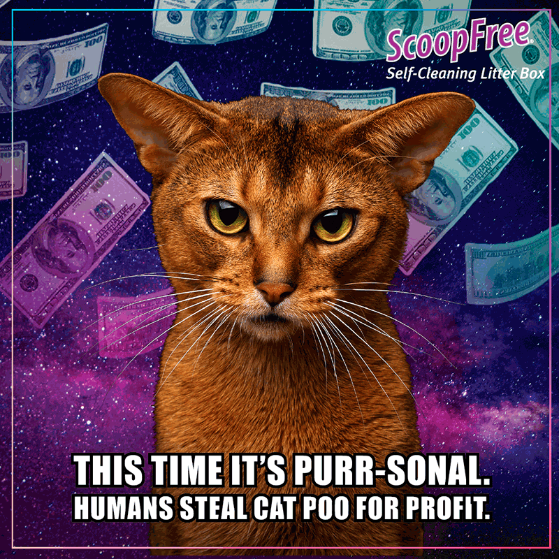 An orange cat in front of a space background with money falling from the sky and type at the bottom that reads, "This time it's purr-sonal. Humans steal cat poo for profit"