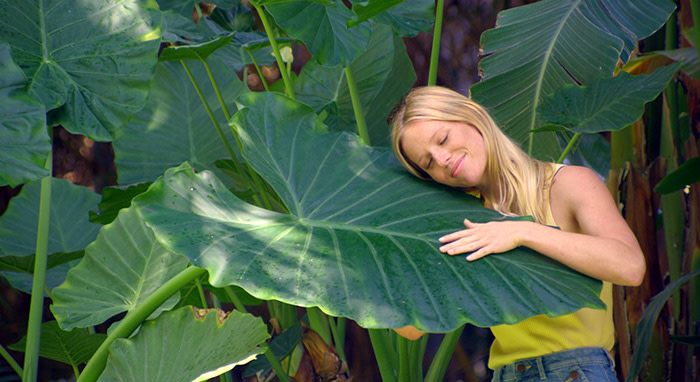 a girl holds and hugs a large leaf and lays her head on it