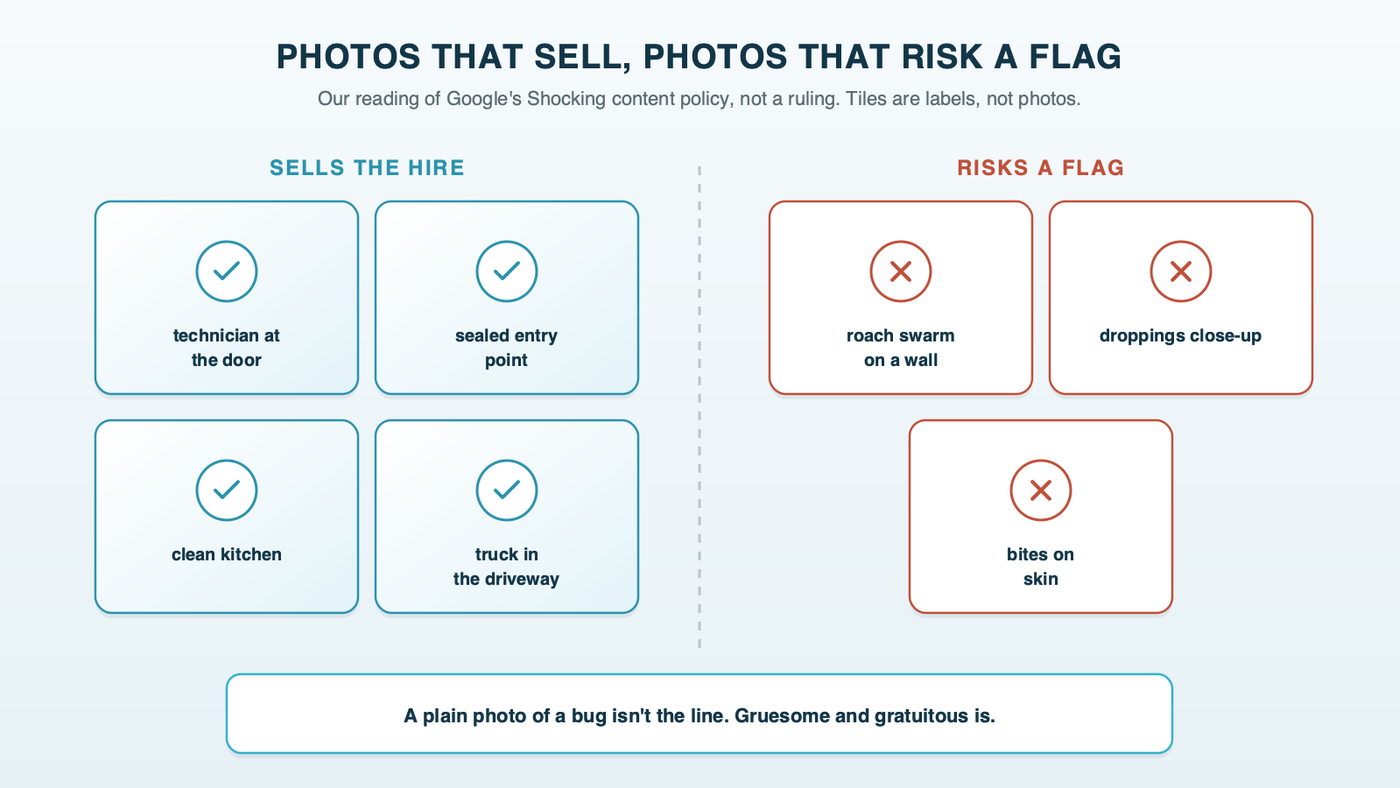Photos that sell and photos that risk a flag, as our reading of Google's Shocking content policy: a technician at the door, a sealed entry point, a clean kitchen and a truck in the driveway, against a roach swarm, a droppings close-up and bites on skin