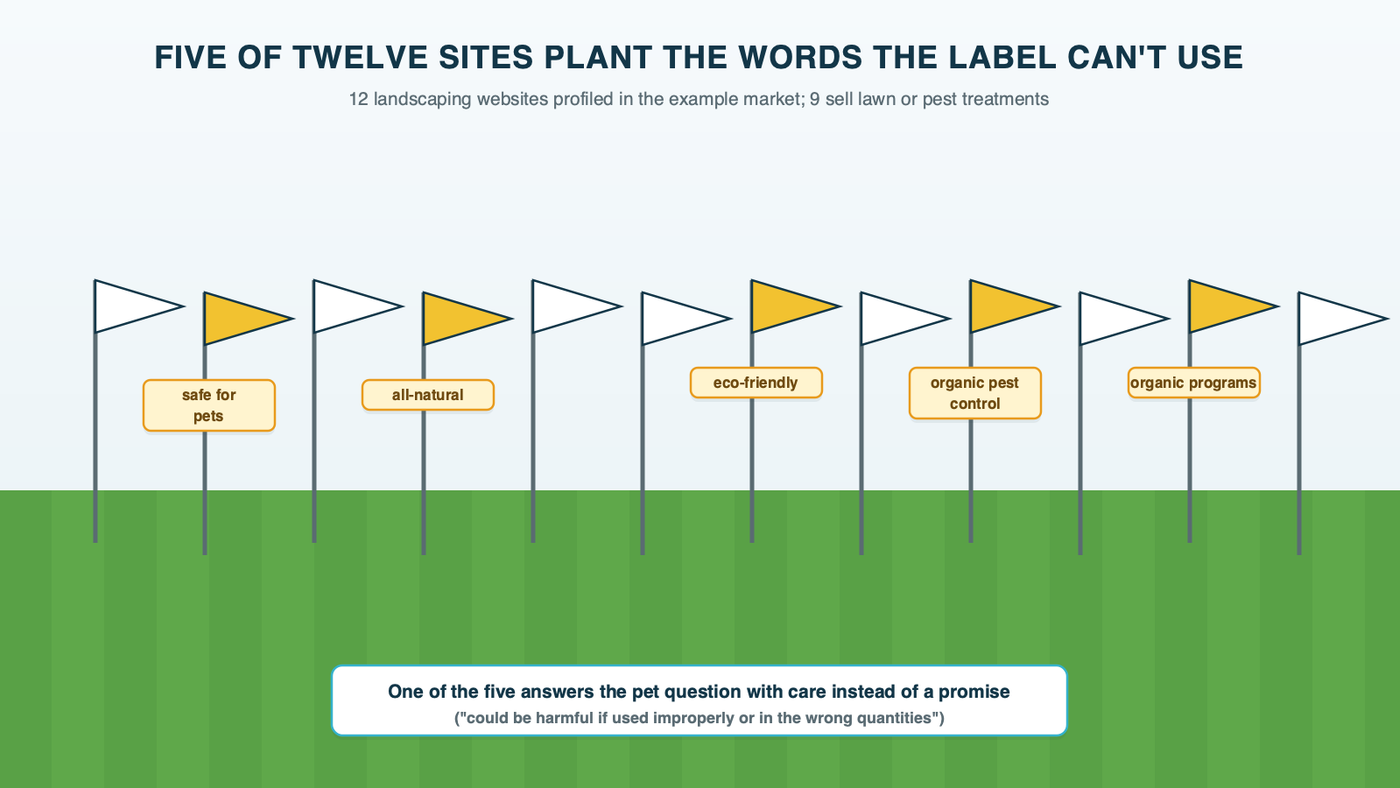 A row of twelve small lawn-treatment flags staked in a strip of grass, one per profiled landscaping website; five of the flags carry a claim word such as organic, all-natural, eco-friendly or safe for pets, and the other seven are blank