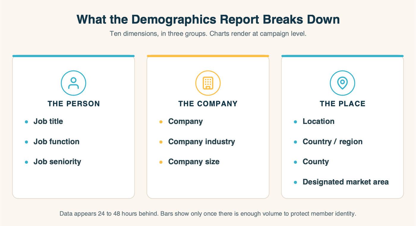 The ten dimensions in LinkedIn's campaign demographics report, grouped into the person, the company and the place