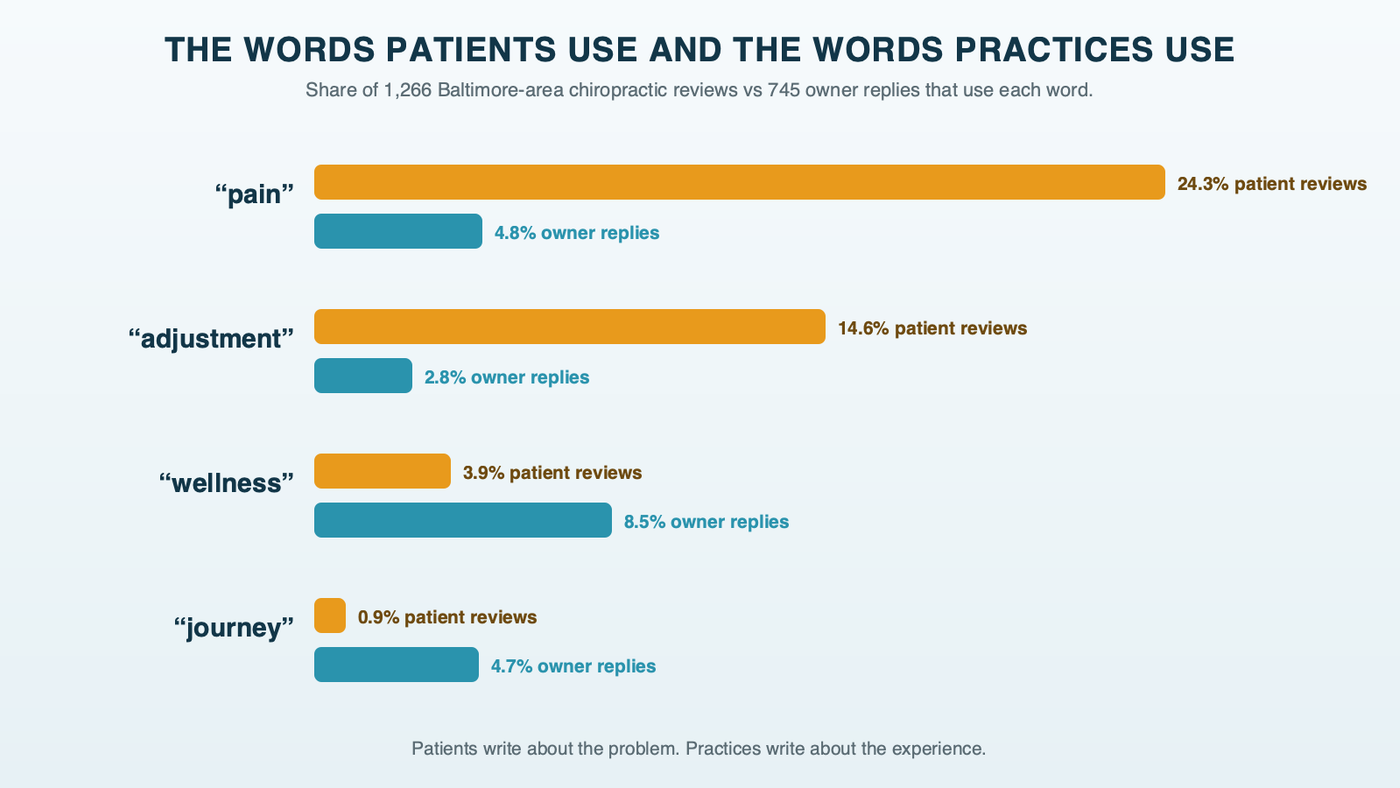 Paired bars comparing how often patients' Google reviews and practices' owner replies use four words: pain in 24.3 percent of reviews and 4.8 percent of replies, adjustment in 14.6 percent and 2.8 percent, wellness in 3.9 percent and 8.5 percent, and journey in 0.9 percent and 4.7 percent