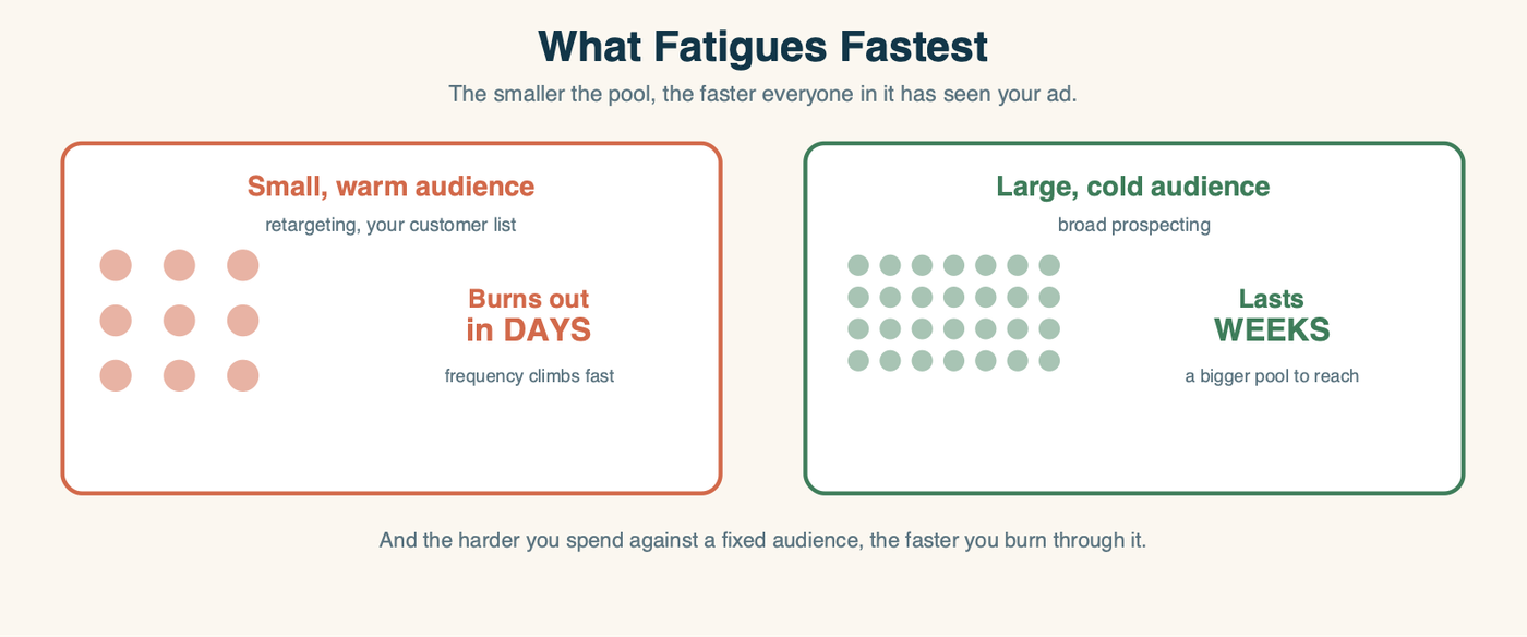 Two audiences compared: a small warm retargeting audience is a tiny pool, so the ad burns out in days, while a large cold prospecting audience is a big pool, so the same ad lasts weeks; and spending harder against a fixed audience burns it faster.