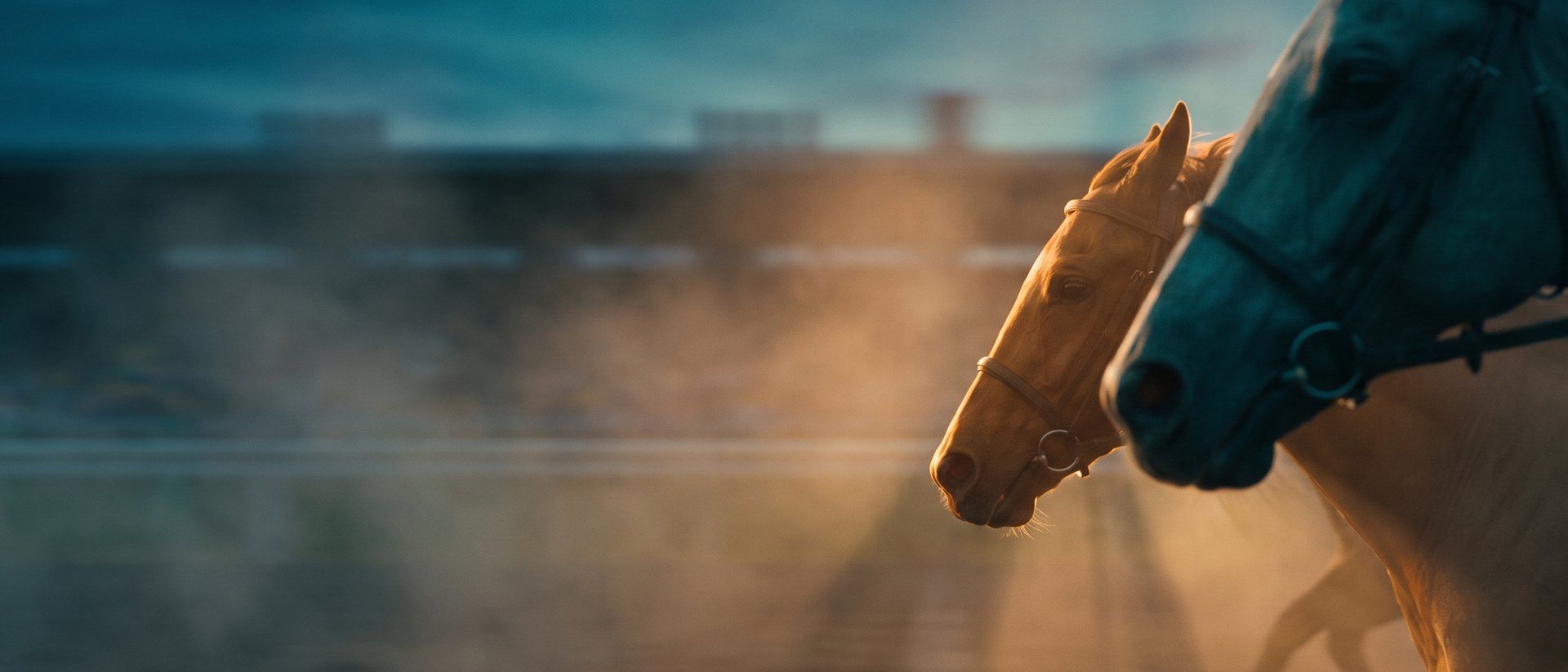 A photo finish between two racehorses, the lighter one just ahead, in warm amber light against deep teal