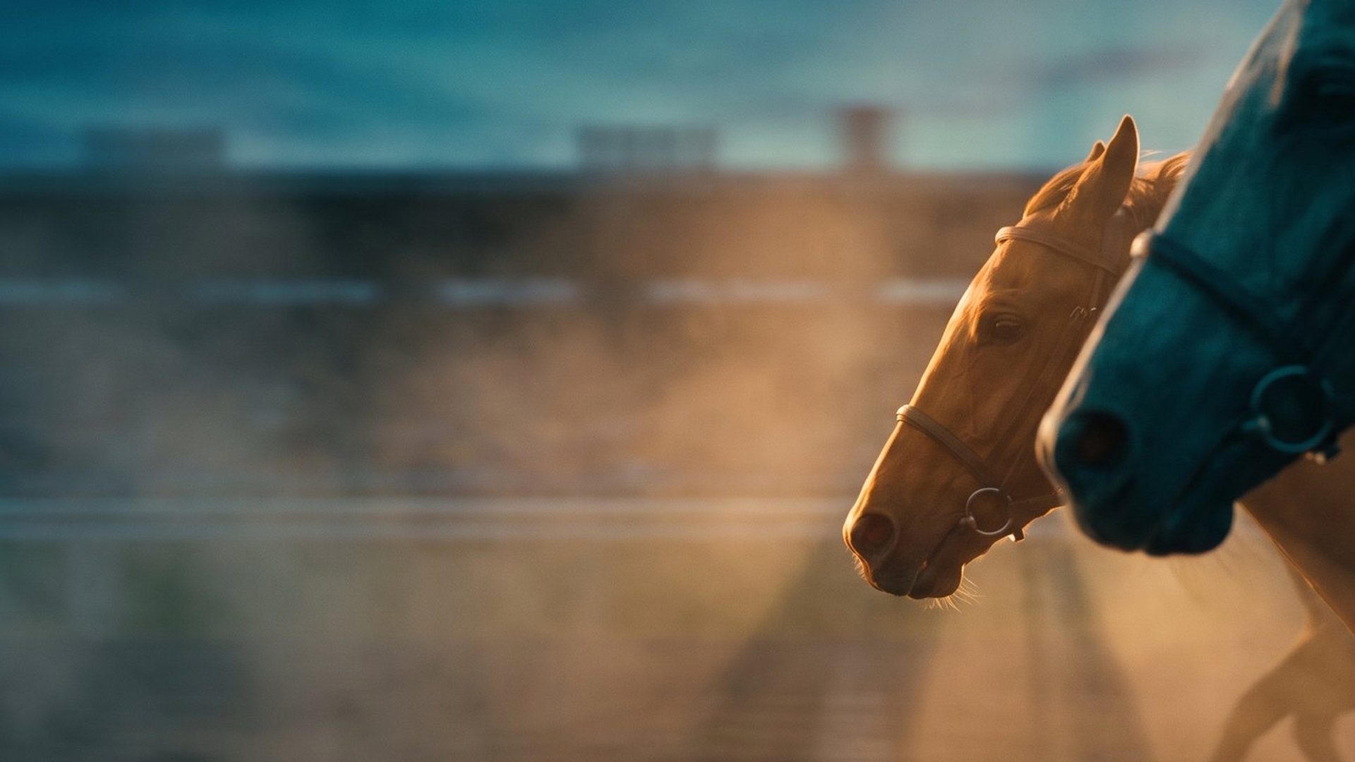 A photo finish between two racehorses, the lighter one just ahead, in warm amber light against deep teal
