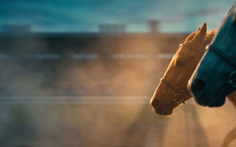 A photo finish between two racehorses, the lighter one just ahead, in warm amber light against deep teal