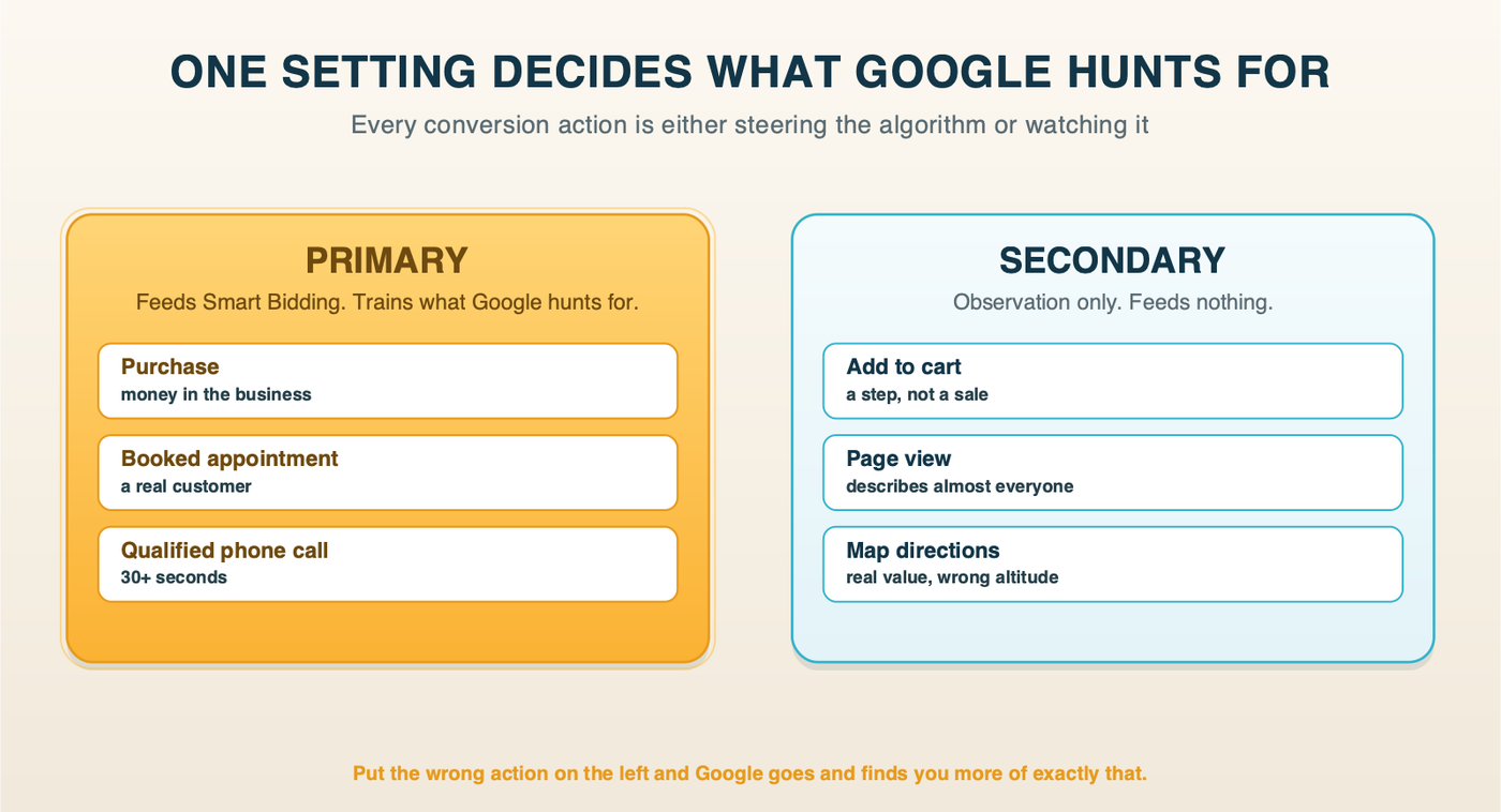 Primary conversion actions like purchases and booked appointments feed Smart Bidding, while secondary actions like add-to-cart and page views are observation only
