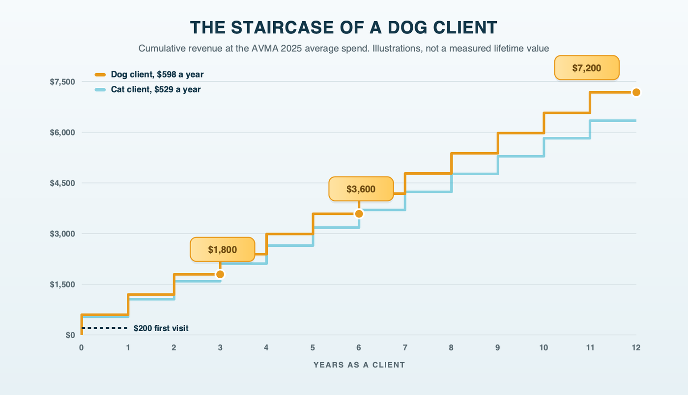The staircase of a dog client: at about $598 a year, a client who started with a $200 first visit adds up to about $1,800 in revenue after 3 years, $3,600 after 6 and $7,200 after 12; a cat client at $529 a year climbs a slightly lower staircase. Illustrations from AVMA 2025 spending figures, not a measured lifetime value