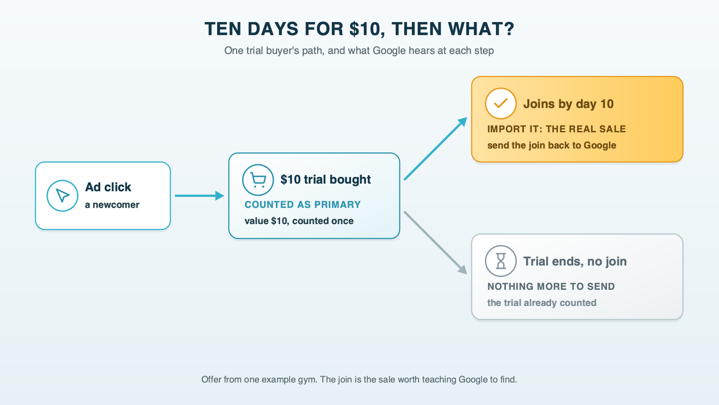 A path from an ad click to a $10 trial purchase where the tag fires as a primary conversion worth $10, then two branches: the buyer joins by day 10, the real sale to send back to Google, or the trial ends with no join and nothing more to send
