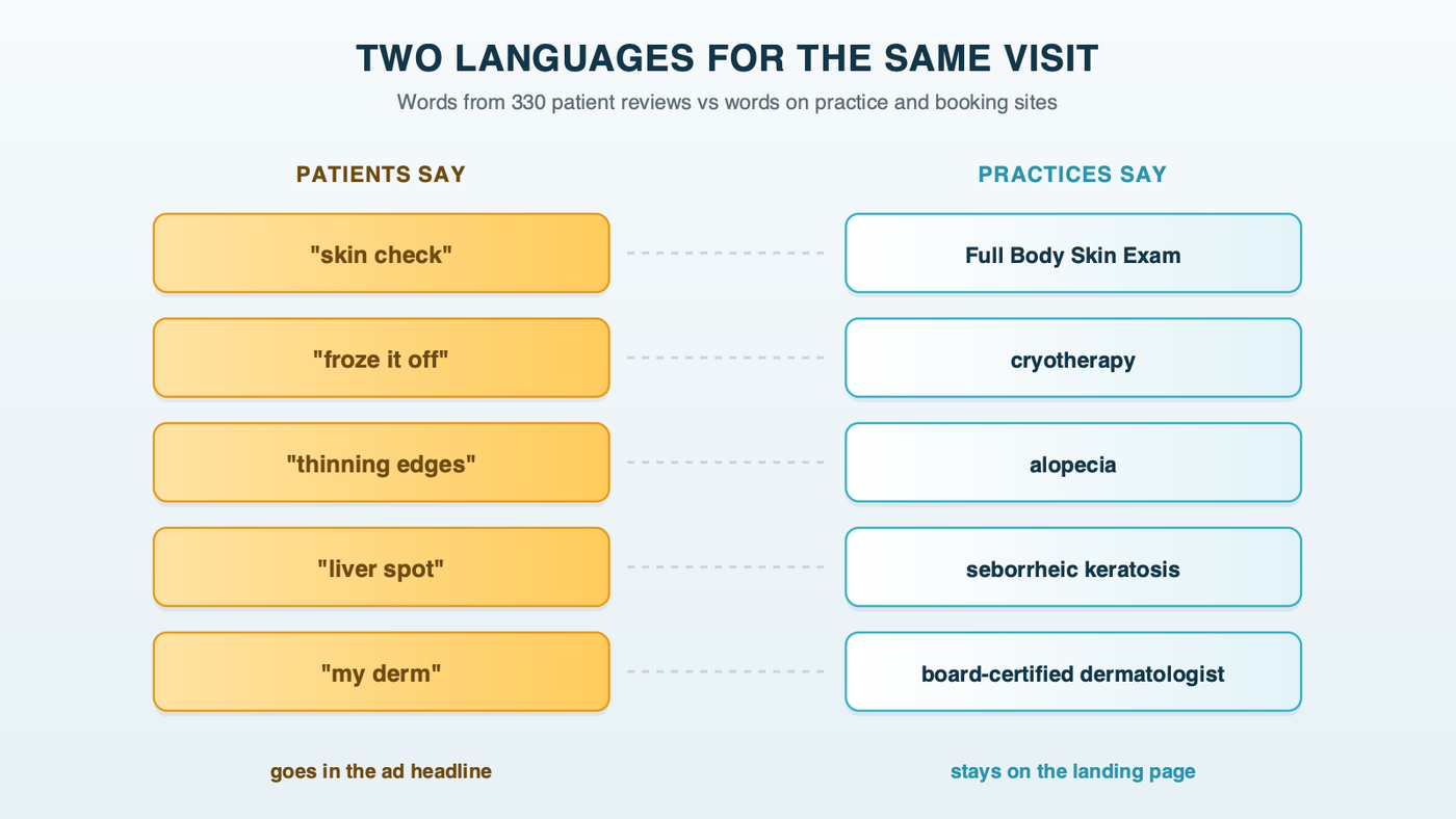Patient words and practice words side by side: skin check and Full Body Skin Exam, froze it off and cryotherapy, thinning edges and alopecia, liver spot and seborrheic keratosis, with the patient words feeding the ad headline and the practice words staying on the landing page