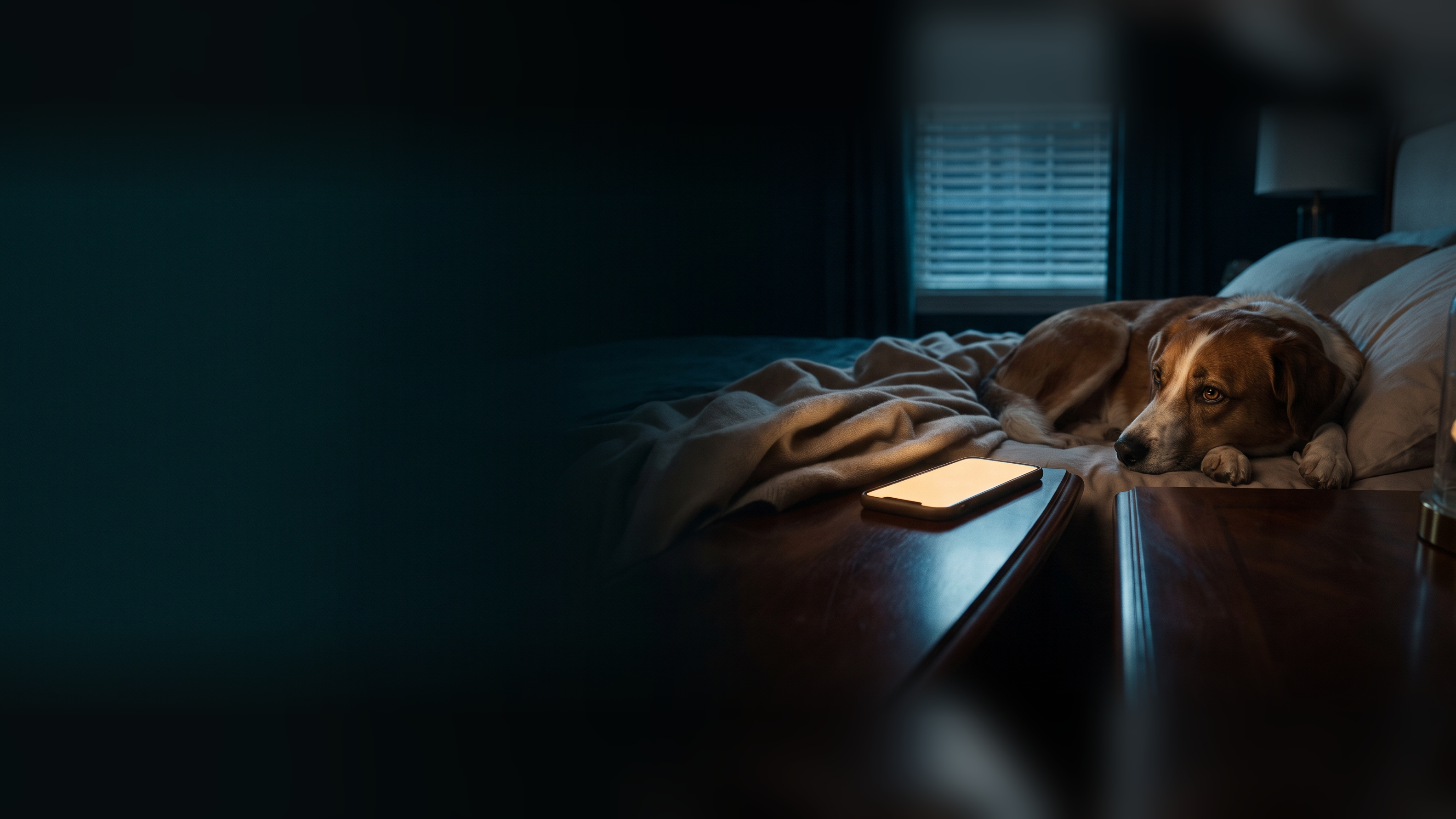A brown-and-white dog lying awake on a bed at night beside a phone glowing on the nightstand in a dark bedroom