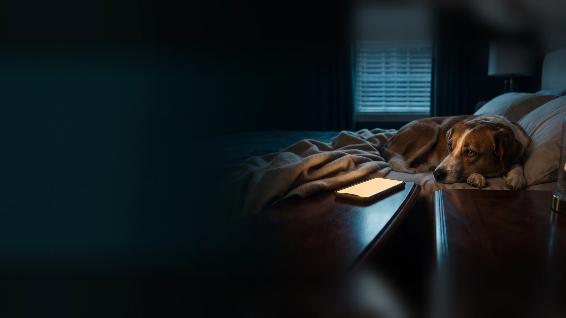 A brown-and-white dog lying awake on a bed at night beside a phone glowing on the nightstand in a dark bedroom