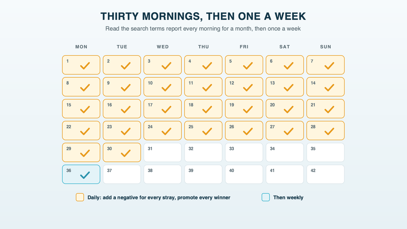 A calendar of the first 30 days after Exploration launches, with a check mark on every day for the first month, and then a single check once a week after that