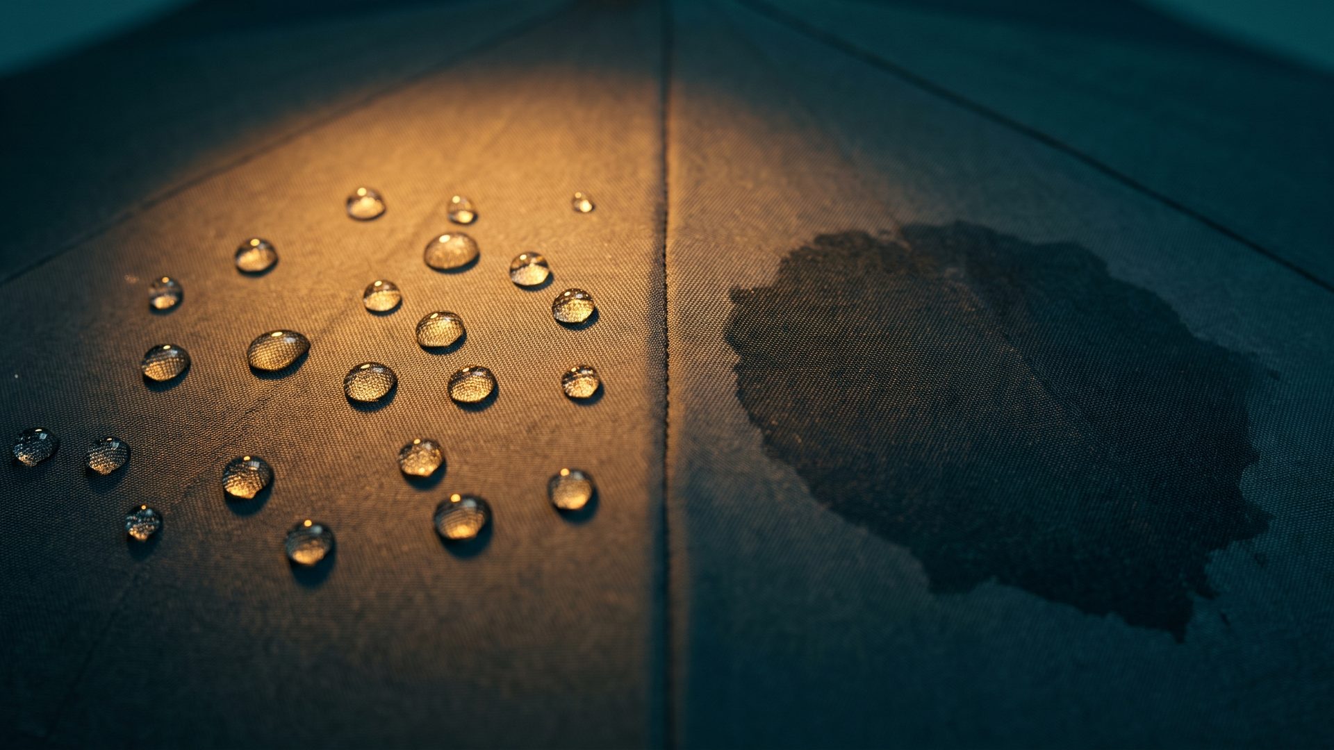 Macro shot of a dark fabric panel where water beads perfectly on the treated left half and has soaked in and darkened the untreated right half