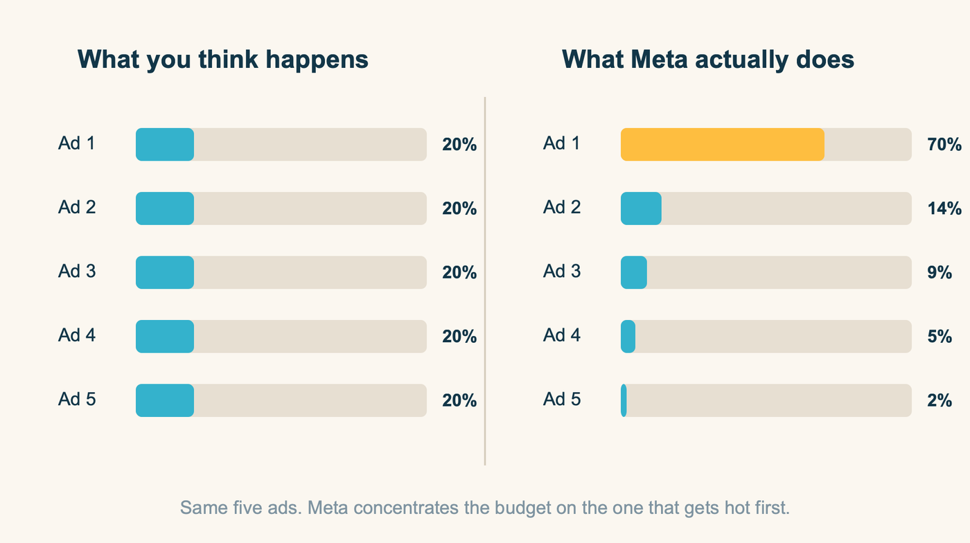 Two side-by-side charts of the same five ads: an imagined even 20 percent budget split versus the reality where one ad takes 70 percent