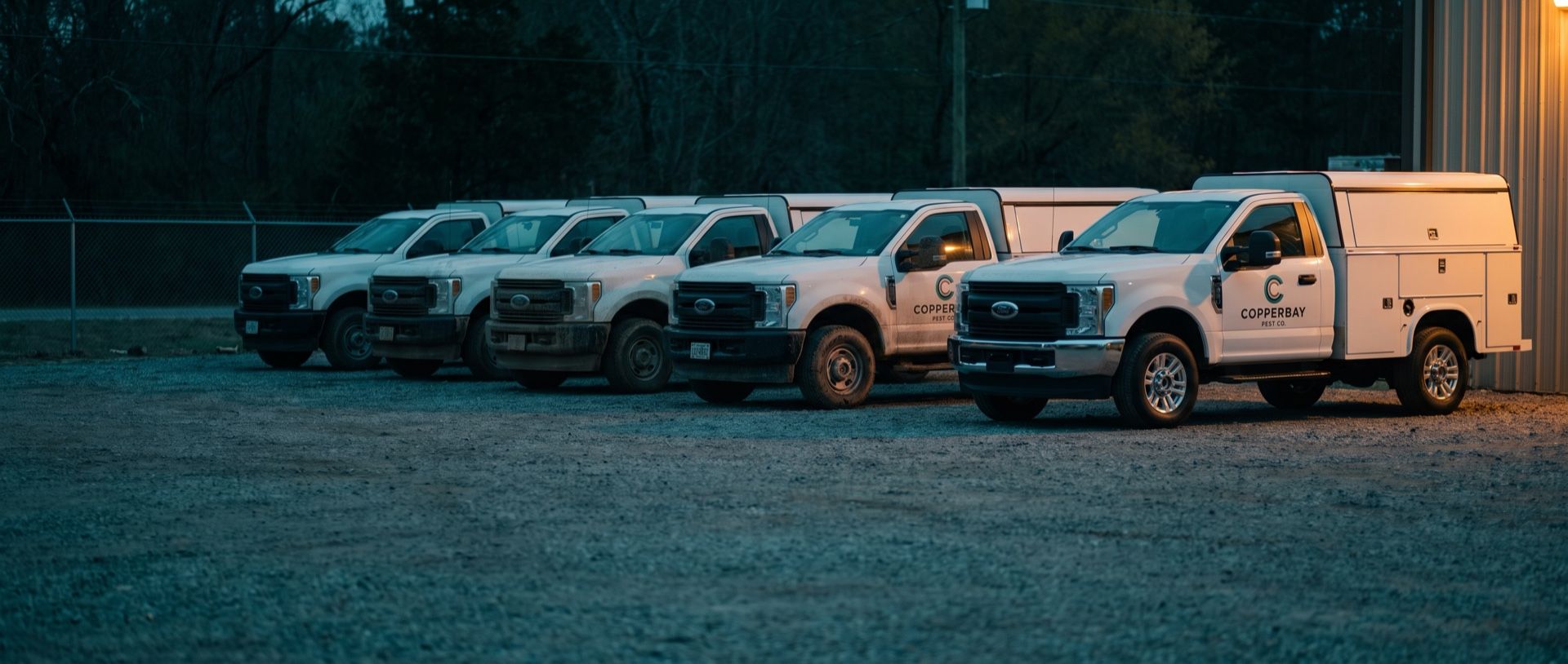 A row of Copperbay Pest Co. service trucks parked in a gravel yard at dawn, the last truck in the line waiting its turn