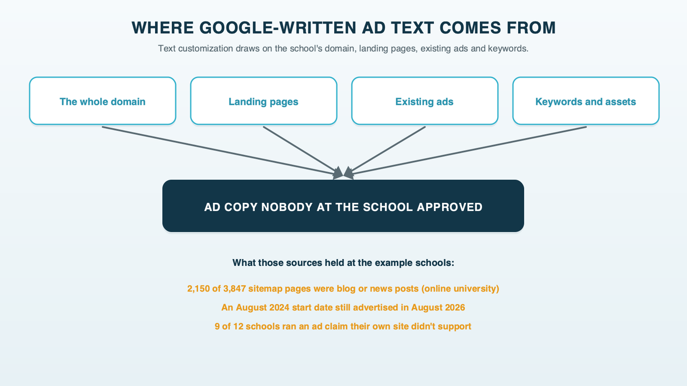 Where AI Max's Google-written ad text can come from: the school's whole domain, its landing pages, its existing ads and its keywords, with the example schools' thousands of blog and news pages and their stale start dates as the raw material