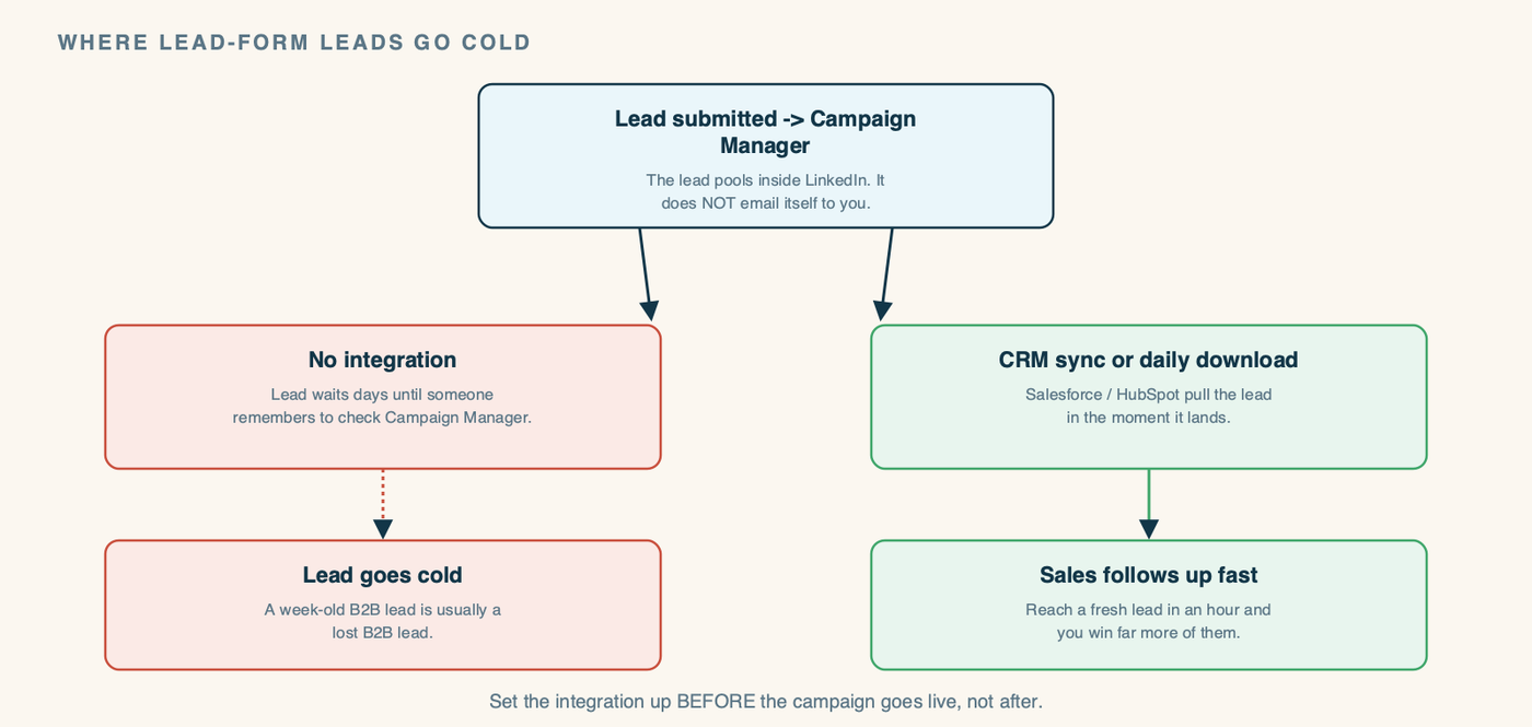A diagram showing the lead-form flow and where leads go cold. Step 1: a member submits the pre-filled form. Step 2: the lead lands in LinkedIn Campaign Manager and sits there. Step 3 branches two ways. The bad path: no integration, so the lead waits for days until someone manually checks, going cold. The good path: a CRM sync (Salesforce, HubSpot) or a frequent download pushes the lead to sales in real time, so follow-up happens fast. The gap between the two paths is labeled where hot leads die.