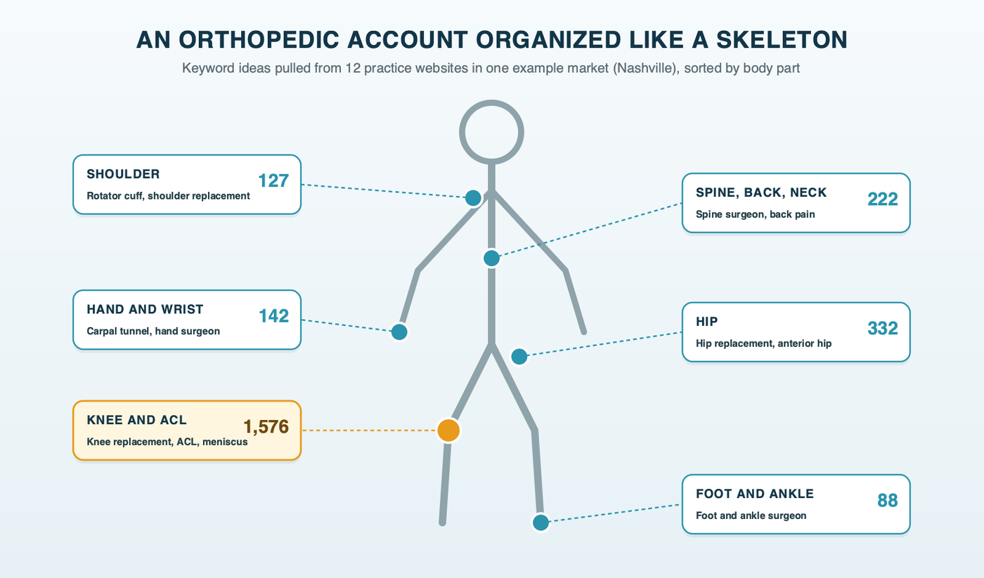 An orthopedic account organized like a skeleton: callouts at the knee, hip, spine, shoulder, hand and wrist, and foot and ankle, each showing how many keyword ideas it produced in one example market and the ad group it becomes