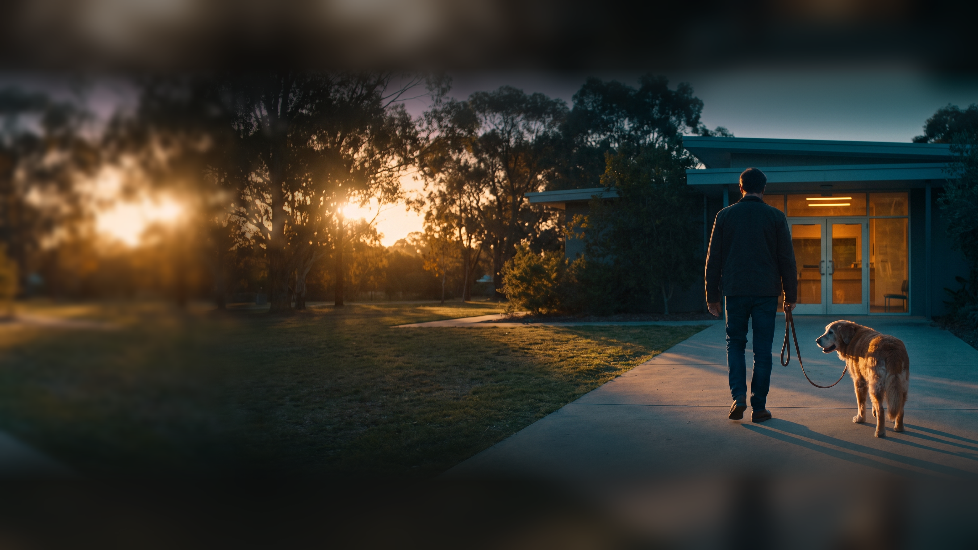 An owner seen from behind walking a gray-muzzled golden retriever up the path to a small veterinary clinic's lit glass door at golden hour
