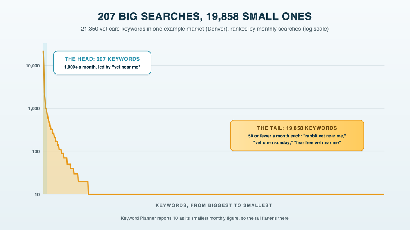 207 big searches, 19,858 small ones: the care keywords left in one example market (Denver) after cutting shelter, competitor and job searches, ranked by monthly searches. A steep head of 207 keywords at 1,000 or more a month, led by "vet near me," and a long flat tail of 19,858 keywords at 50 or fewer, including "rabbit vet near me," "vet open sunday" and "fear free vet near me"