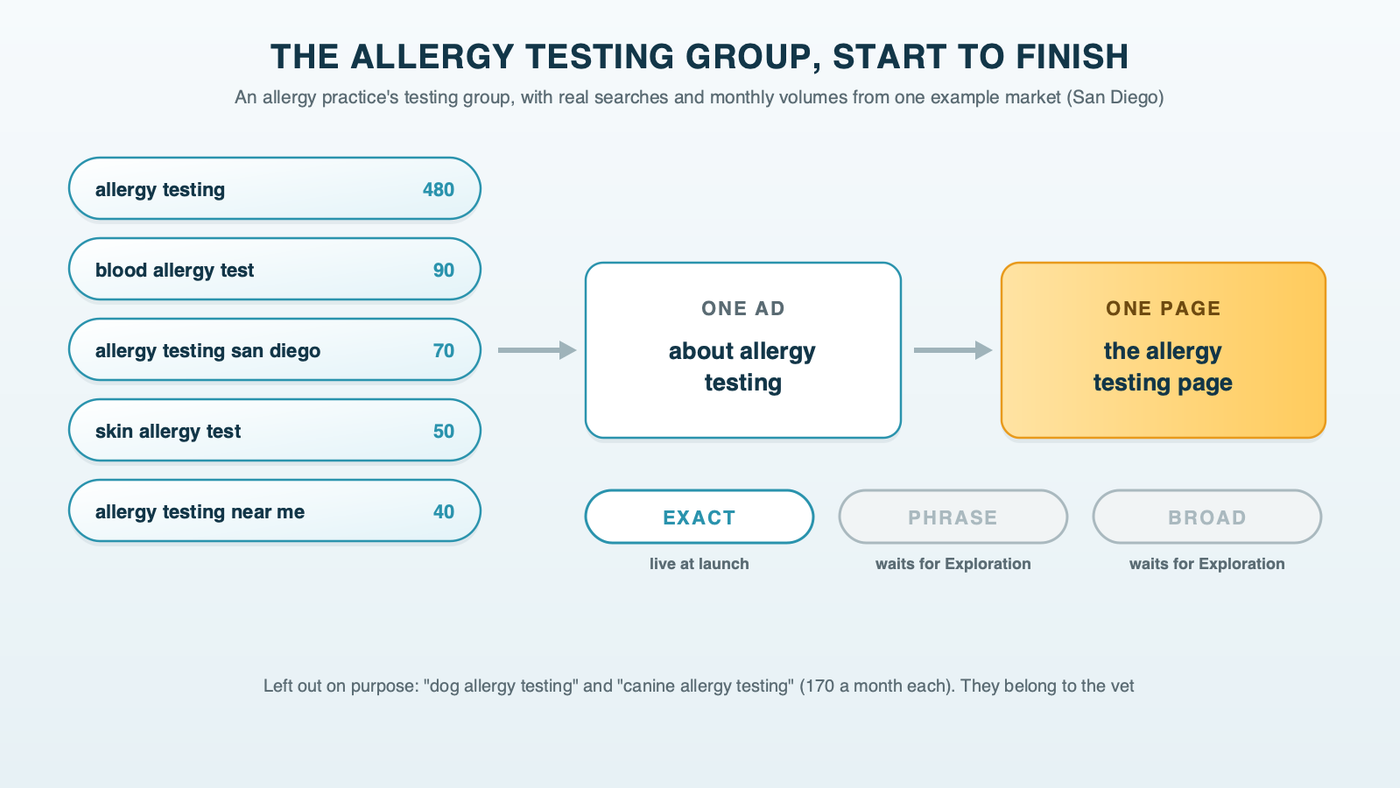 One service, one ad group, one page, shown for an allergy practice's testing group: five close searches, one ad about allergy testing and the allergy testing page, with exact match live at launch and phrase and broad match grayed out until Exploration