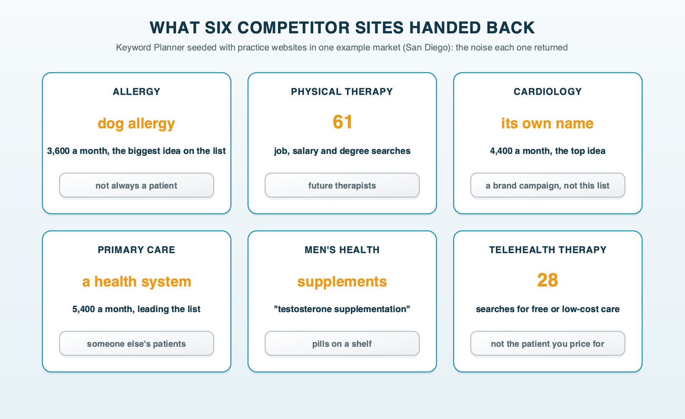 What six competitor sites handed back in one example market: allergy led by dog allergy searches, physical therapy with 61 job and school searches, cardiology led by the practice's own name, primary care led by a health system's name, men's health with supplement searches, and a telehealth network with 28 cheap or free searches